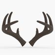 Tracy-Front.jpg Medium Deer Antlers | Tracy