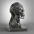 skull-robot-5.jpg skull robot (1)