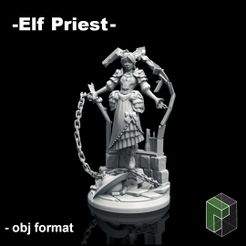 ElfPriest_01_SalesPage.jpg Prêtre elfe (non soutenu)