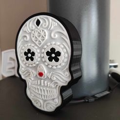 385521528_335451025706942_3572943350667870152_n.jpg Calaveras, tete de mort Mexicaine lumineuse