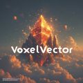 VoxelVector1