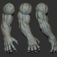 32.jpg 25 Creature arms 3D model ZTL+OBJ+STL