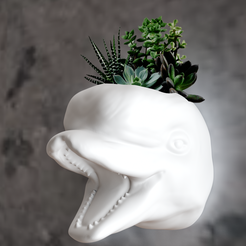 head-planter-2.png beluga whale wall mount planter succulent pot flower vase STL