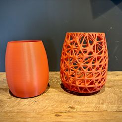 IMG_0299.jpeg Organic Vase