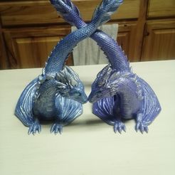 Expositor de libros Twin Flame Dragon