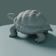 0004.png Tortue