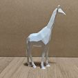 LowPolyGiraffe-right.jpg Low Poly African Animal Collection