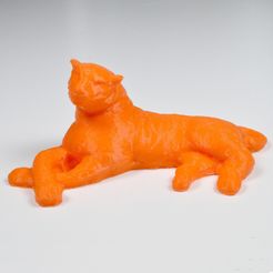 1.jpg The Family's Tiger, 3D Scan