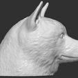 11.jpg Doge meme Shiba Inu head for 3D printing