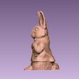 7.jpg Peter Rabbit