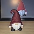 20251205_130536.jpg Christmas Deco - Multicolor - Gnome