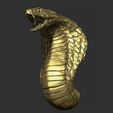 25.jpg Snake cobra