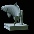 Carp-trophy-statue-34.png fish carp / Cyprinus carpio in motion trophy statue detailed texture for 3d printing