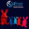 Bazaart_20240224_095749_292.jpeg Hungry Easter Bunny | Fast Print - Detailed