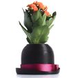SAM_0390.jpg Bowler Hat Mini Plant Pot for Succulent&Cactus