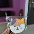 WhatsApp-Image-2024-03-04-at-1.33.14-PM-1.jpeg Cat Cookie Cutters