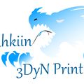 Dovahkiin3DyNPrint