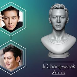 Ji Chang-wook A\SELFIX Archivo STL Modelo de impresión 3D del retrato de Ji Chang-wook・Plan de impresora 3D para descargar, selfix