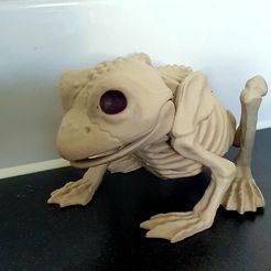 20221027_115007.jpg STL file Skeleton Frog・3D print object to download