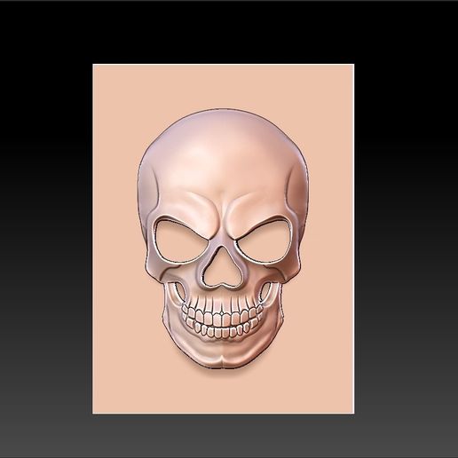 skull 3D model