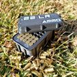 Imagen-de-WhatsApp-2025-02-02-a-las-19.08.23_4c748c37.jpg Ammunition Box .22LR RUGGED