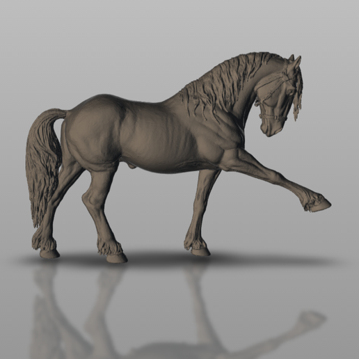 Friesian horse with bridle