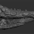 NNSRS_0004_Layer-16.jpg Dinosaur Skull - Nanosaurus