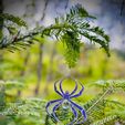 IMG_0629.jpg Spider Sun Catcher