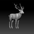 deer1.jpg Deer - toy for kids - deer toy 3d model for 3d print