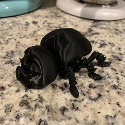 FLEXI BEETLE
