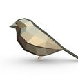 2.jpg Sparrow