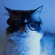 IMG_7678.jpg CAT's GLASSES