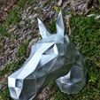 31ed5ee1-c38b-44c4-acb0-5e56a94df933.jpg Horse's Head
