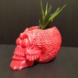 20240205_190058.jpg Martian Skull Planter - With or without drainage