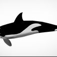 A.jpg orca