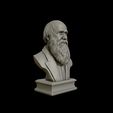 25.jpg Charles Darwin portrait sculpture 3D print model