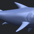 17_TDA0486_SharkB07.png Shark