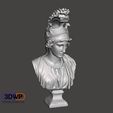 GreekBust1.jpg Greek Bust 3D Scan (Dea Roma/Goddess Rome)