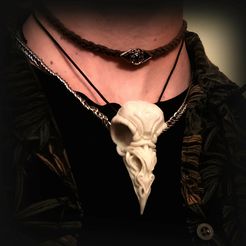20230624_184652.jpg Crow Skull Decorative Necklace