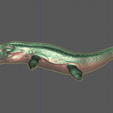 krono2.png Kronosaurus