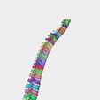 1.jpg STL file Spine・3D printer model to download