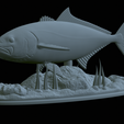 Greater-Amberjack-statue-1-30.png fish greater amberjack / Seriola dumerili statue underwater detailed texture for 3d printing