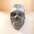 P1110184.jpg Skull and crossbones lid for SATA paint bucket 600ml