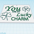 you-are-my-lucky-charm-1.png You're My Lucky Charm,  printable wall decor, keychain, fridge magnet