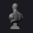 preview6.png 3D file Spiderman Bust・3D printer design to download