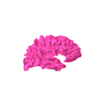 7.png White matter of right temporal lobe SEGMENTED