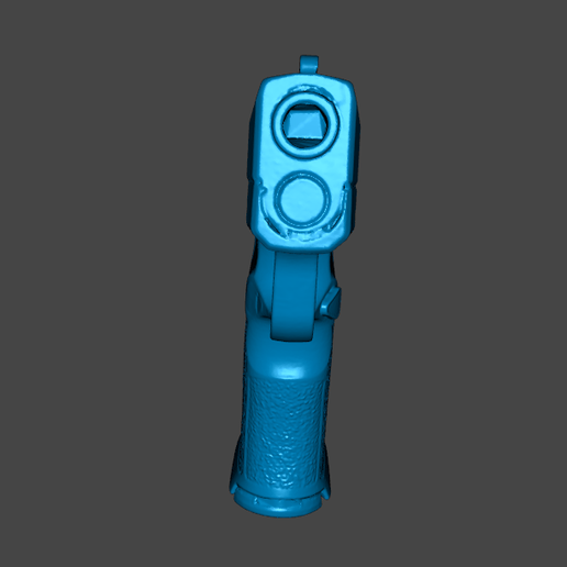 {955C1A5D-F470-4D48-881B-23A3AE84EE48}.png Sig P365X