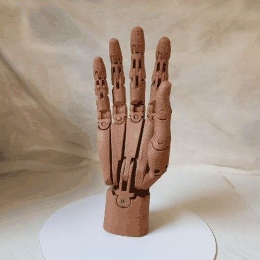 Free STL file Articulated hand・Design to download and 3D print・Cults