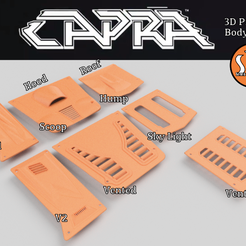 Body Panel Options.png Axial Capra Body Panels
