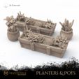 1000X1000-Gracewindale-planters.jpg Planters and Pots